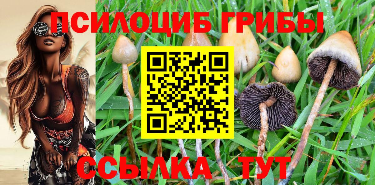 Глазов  Псилоцибиновые грибы GOLDEN TEACHER  Вход с VPN  Галлюциногенные грибы мицелий 