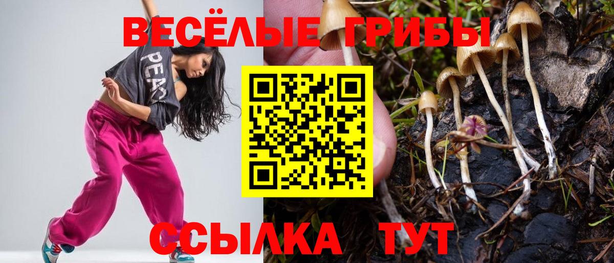 Галлюциногенные грибы Cubensis Глазов